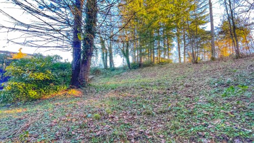 32492 Cherry Avenue, Mission, BC 