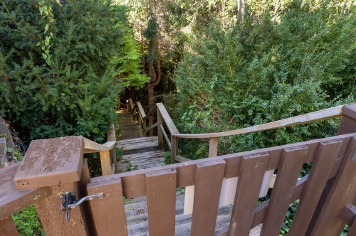 1311 133A Street, Surrey, BC 