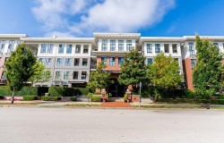 #421-3323 151 Street  Surrey, BC V3Z 0L3