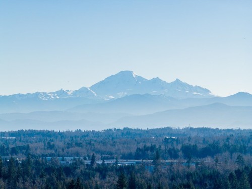 26267 64 Avenue, Langley, BC 