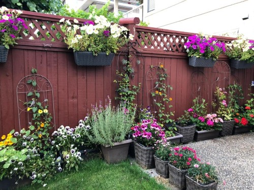 3-11952 64 Avenue, Delta, BC 