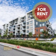 228-7936 206 Street  Langley, BC V2Y 3X8