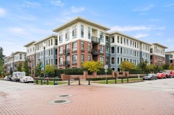 212-15137 33 Avenue  Surrey, BC V3Z 0Y1