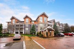 117-6480 194 Street  Surrey, BC V4N 6J9