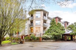 308-20239 Michaud Crescent  Langley, BC V3A 8L1