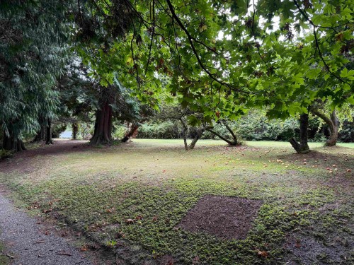 16203 8 Avenue, Surrey, BC 