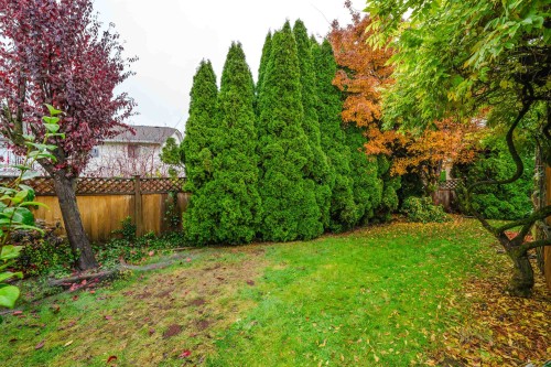 21447 88B Avenue, Langley, BC 