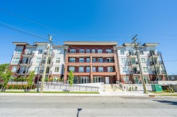 305-5420 208 Street  Langley, BC V3A 2J9