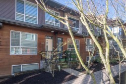 140-2228 162 Street  Surrey, BC V3Z 6P4