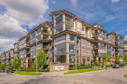 210-8526 202b Street  Langley, BC V2Y 3L3