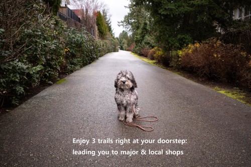 A200-20087 68 Avenue, Langley, BC 
