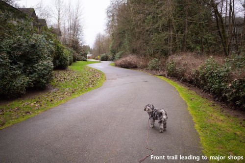 A200-20087 68 Avenue, Langley, BC 