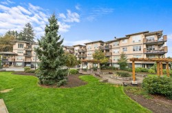 213-2565 Campbell Avenue  Abbotsford, BC V2S 0E3