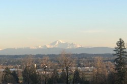 409-20826 72 Avenue  Langley, BC V2Y 0Z9