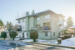204-7131 133a Street  Surrey, BC V3W 8A1