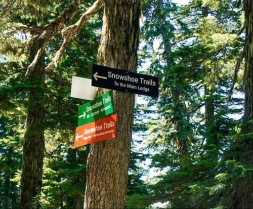 20708 Edelweiss Drive, Agassiz, BC 