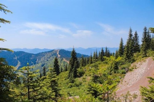 20708 Edelweiss Drive, Agassiz, BC 