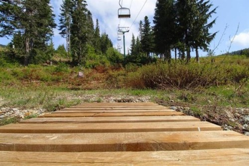 20708 Edelweiss Drive, Agassiz, BC 