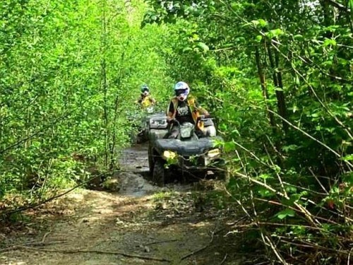 20708 Edelweiss Drive, Agassiz, BC 