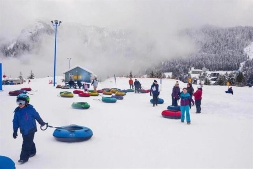 20708 Edelweiss Drive, Agassiz, BC 