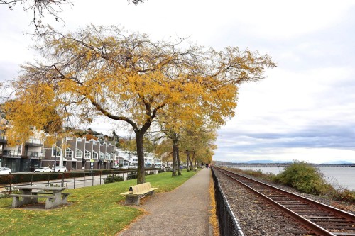 1-1860 Southmere East Crescent, Surrey, BC 