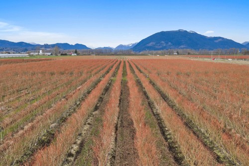 6209 Little Street  Abbotsford, BC V3G 1P5