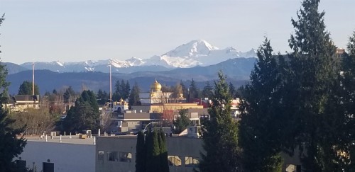 601-32838 Landeau Place, Abbotsford, BC 