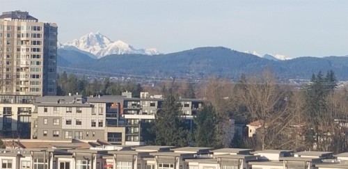 601-32838 Landeau Place, Abbotsford, BC 