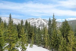 47065 Snowmist Drive  Mission, BC V0M 1A1