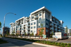 423-7936 206 Street  Langley, BC V2Y 3X1