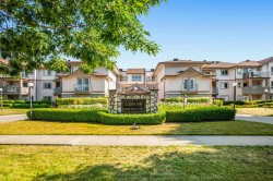 115-22150 48 Avenue  Langley, BC V3A 8R5