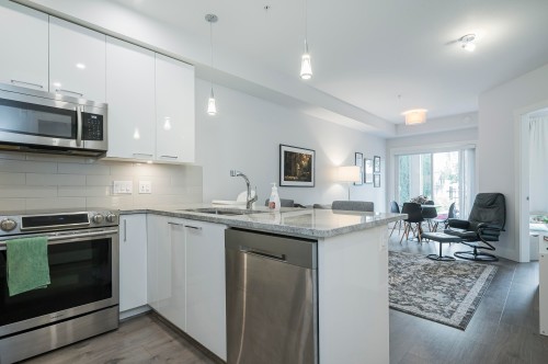 111-20175 53 Avenue, Langley, BC 