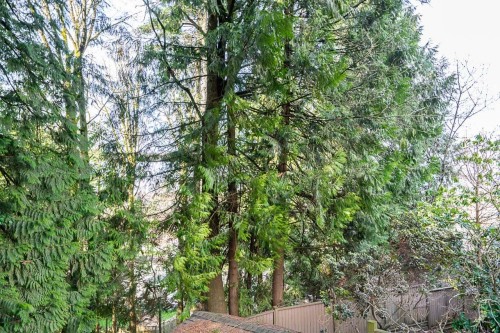 8403 Arbour Place, Surrey, BC 