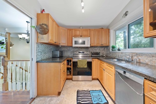 20624 48 Avenue, Langley, BC - Indoor Photo Showing Kitchen With Double Sink