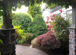 5532 181a Street  Surrey, BC V3S 7Z2