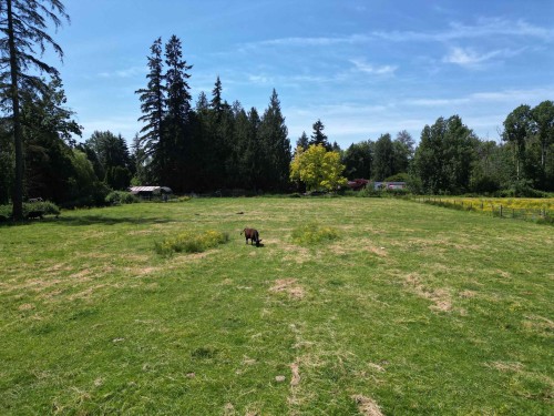 22828 38 Avenue, Langley, BC 
