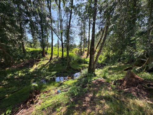 22828 38 Avenue, Langley, BC 