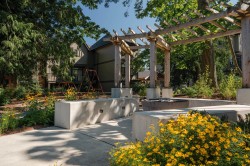 115-2350 165 Street  Surrey, BC V3Z 1J9