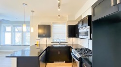 309-20058 Fraser Highway  Langley, BC V3A 0E5