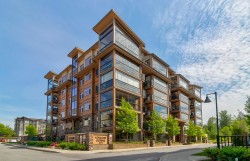 B422-20716 Willoughby Town Centre Drive  Langley, BC V2Y 3J8