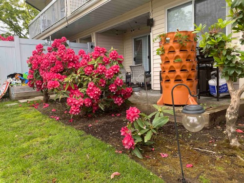 103-9299 121 Street  Surrey, BC V3V 7X8