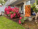 103-9299 121 Street, Surrey, BC 