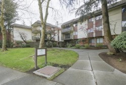 211-7426 138 Street  Surrey, BC V3W 8G4