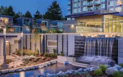 301-13696 100 Avenue  Surrey, BC V3T 0L5