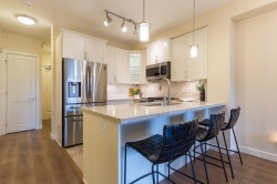 311-8561 203a Street Langley, BC V2Y 3L7