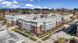 305-15137 33 Avenue Surrey, BC V3Z 0Y1