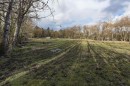 19607 80 Avenue, Langley, BC 