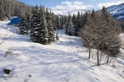 20418 Edelweiss Drive Agassiz, BC V0M 1A1