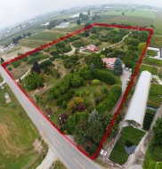 6655 Beharrell Road Abbotsford, BC V3G 1P1