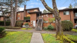 1314-10620 150 Street Surrey, BC V3R 7S1